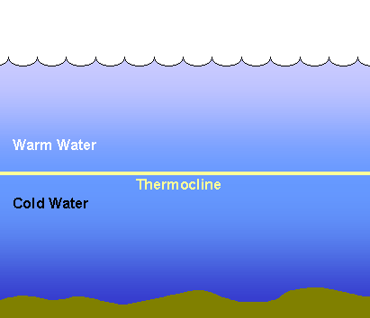 thermocline