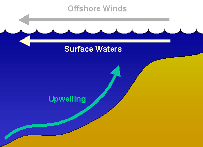 upwelling