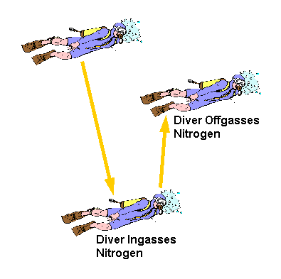 diver ingassing and offgassing